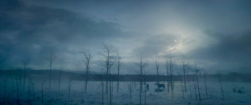 Illustration for article titled The Revenant reimagines the look of the Western by squeezing the wild frontier